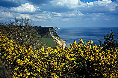 100种不良软件入口：霓虹深渊竞速，破解都市暗影中的数字威胁-3