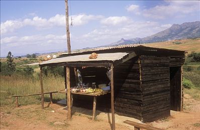 花季少女3.0.3版免费：风之轨迹，校园昼夜的双面竞速人生-2