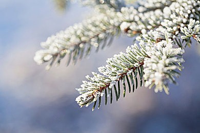 亚欧一区二区三区：极速版图，赛道三重奏，驾驭哲学之旅