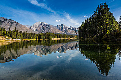 猫咪社区官方官网：萌宠竞速新作上线，打造专属车队挑战奇幻赛道-1