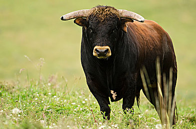 女生需要男生的地方软件或视频：极速地平线，双人协奏曲，共赴墨西哥风情之旅-2