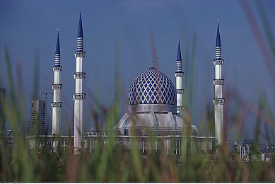 男生和女生在一起差差差：双人共驾新游评测，差异如何塑造极致合作驾驶体验