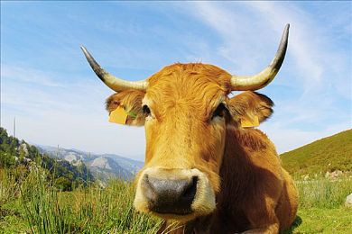 18岁以下禁止下载的黄色软件：成人竞速新作引爆争议，道德抉择与极速狂飙重塑赛博朋克驾驶体验-2