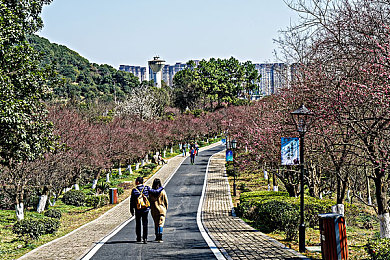 国产精品果冻传媒：弹性竞速新体验，极速果冻带来物理驾驶革命