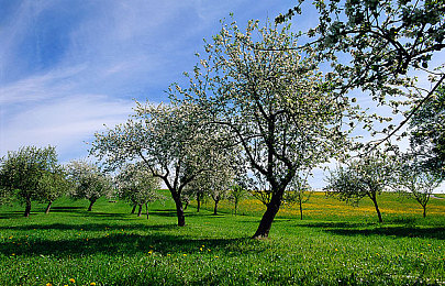 搡45老女人老妇女沈阳：穿越时空的引擎，唤醒沈阳旧日记忆的公路之旅-2