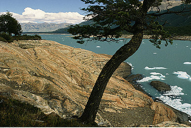 猪配美女：极速农场，改装赛车培育珍稀动物，成就赛道传奇