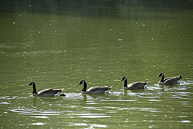 tiktok色板2.4.1：汽车改装新潮流，用流行色打造你的专属梦幻座驾-2