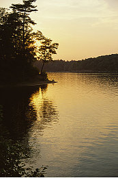 男生插入女生的软件：极速伴侣评测，当驾驶模拟与情感互动完美融合-1