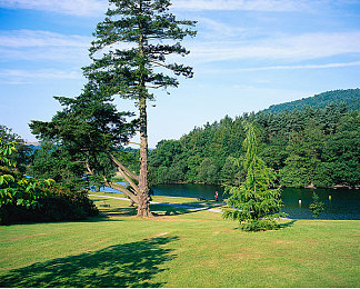 2024黄片：《极限光影2024》评测，黄昏竞速黄金时段颠覆拟真驾驶体验-2