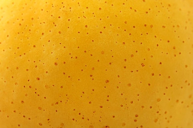 国产乱人视频:国产驾驶新作引爆社交,荒诞飙车打造快乐发生器-4