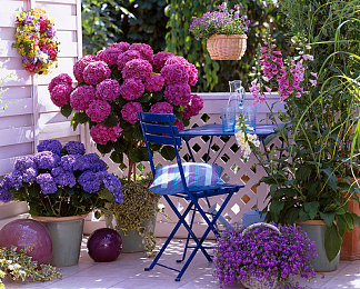 404黄色禁用:极限赛道,规则边缘的禁忌涡轮博弈-3