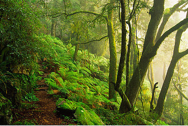 今日看料-美好生活,从今日开始,看见更大的世界抖音：极限地平线自由驰骋今日上线，开放世界驾驶新作带你驰骋全球美景-3