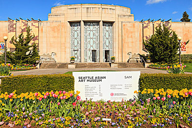 sesese99:复古像素赛车狂飙,挑战幽灵车与隐藏改装盛宴-2