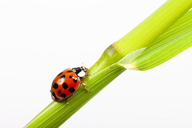 国精产品乱码一区一区三区四区：极速狂飙赛道密码解析，分区挑战与调校攻略全揭秘-4