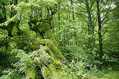 AV作品：当引擎轰鸣穿透数字屏障，真实胎痕烙印虚拟赛道-2