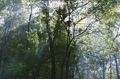 一个致敬韩寒官网：极速回声，在虚构公路上体验人生故事与改装艺术