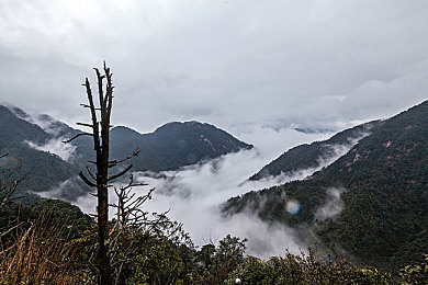 AV盛宴：极限竞速新纪元，沉浸驾驶体验与汽车文化的完美融合-2