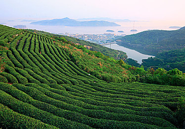 性色TV：霓虹都市极速狂飙，赛博朋克竞速新作今日正式公开-4