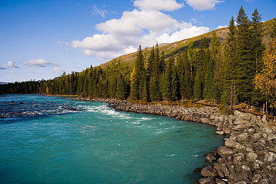 男人和女人一起差差差APP：双人竞速手游极速搭档上线，协作闯关引爆社交新体验