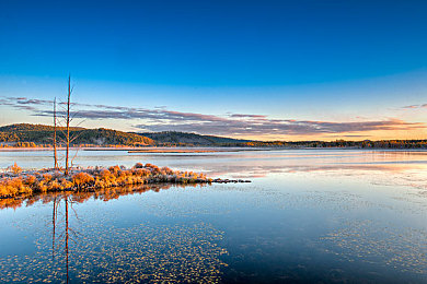 18岁以下禁止入内：驾驭未来都市，速度与抉择的成人竞速新纪元