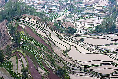二膜三叉四膜五注免费的功能介绍：极速改装新玩法，自由搭配打造你的专属赛车-4