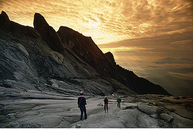 tiktok色板2.4.1国际版:霓虹赛道新纪元,动态色彩驱动竞速游戏今日全球上线-4