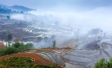 av免播放器:墨西哥画卷,无界竞速的视觉史诗-3