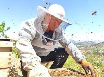 国产Av黄色：极速光影，中国超跑梦想之旅