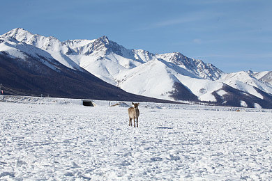 成人东京热：霓虹都市极速狂飙，东京地下车手夜战实况全揭秘