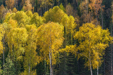 特殊按摩让少妇高潮:竞速游戏新作首创情绪驾驶疗法,虚拟乘客体验极致释放瞬间-3