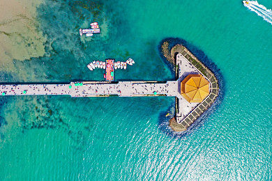 鬼灭之刃蝴蝶忍被鬼侵犯：紫蝶舞毒雾，以智破敌的猎鬼艺术-2