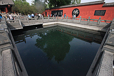 三上悠亚公公：经典赛车改装传奇，继承家族热血竞速之旅-3