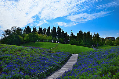 3.0.3免费oppo版破解大全下载：极速狂飙，赛道王者，真实驾驶，指尖竞速新纪元-4