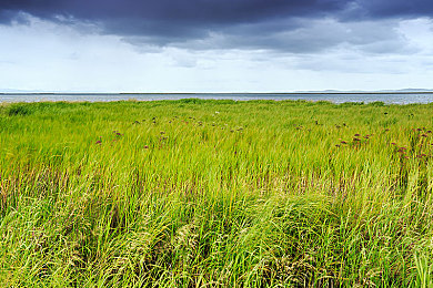 小视频黄：墨西哥黄金落日，地平线5极致光影驾驶之旅