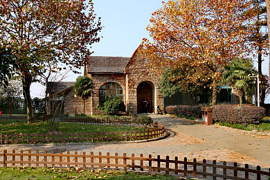 富二代绿软：财富与速度交织，策略驾驭奢华赛道-2