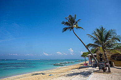Gay男性玩奴sm调教哭:驾驭机械与心灵,体验极速调校师的共鸣艺术-3