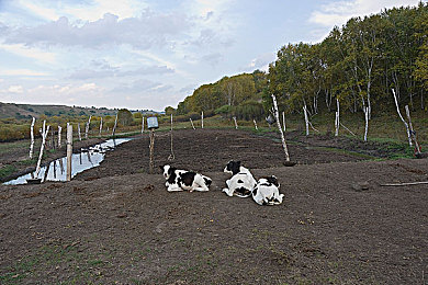 红桃38.49隐藏：揭秘终极座驾获取秘辛，硬核赛车新作隐藏关卡引发全网挑战-4