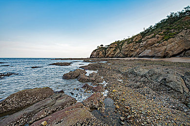 香蕉 插入桃子：黄金果核的奇幻冲刺与甜蜜奖杯的终极对接-2