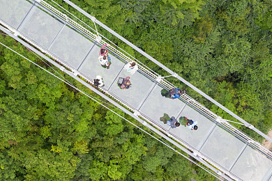 朝桐光精油按摩店达到高潮：香氛旅途，心灵方向盘与情绪风景线的虚拟协奏-3