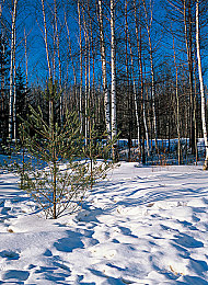 私密按摩师让我高潮了6次正常吗：感官交响，极速回响，驾驶与触觉的沉浸式艺术革命-2