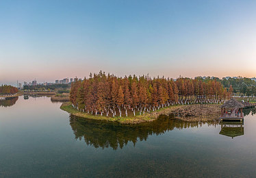 女学生打屁股露白内裤:校园极速风云,趣味惩罚轮盘大冒险-1
