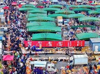 流氓软件：未来座驾深陷操控危机，顶尖车手以代码破解生死时速-4