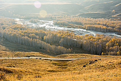 成人黄色App：极限狂飙霓虹赛道，硬核驾驶与视觉美学的终极融合-2