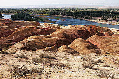 男生和女生差差差免费APP：极速性别差今日上线，差异化驾驶物理系统重塑竞速游戏策略