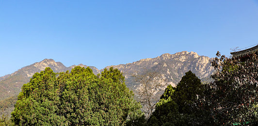 我和老婆真实的3p经历：三角共鸣，极速协同的信任之旅-2