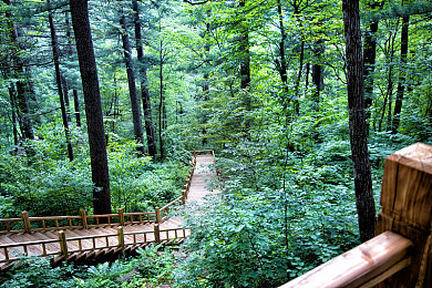 扒开私密部位抽打花蒂：引擎临界点调校艺术，揭秘极速狂飙的隐藏性能哲学-2