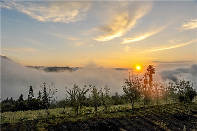火影忍者h版：疾风传极速追击深度评测，查克拉竞速颠覆传统玩法-4