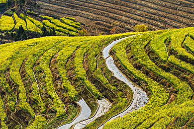 罗宾帮乔巴治病:疾驰的考古学家与迷雾中的解毒竞速-2