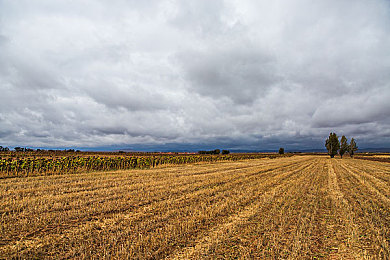 男生女生一起做羞羞事情APP：双人协同驾驶新纪元，默契竞速挑战亲密关系