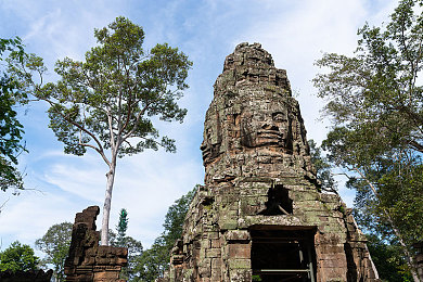 男生插女生的软件:神经模块交织的羁绊协奏曲-2